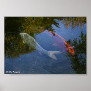 Yin and Yang in Silver and Amber Poster
