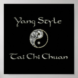 Yin Yang Chrome, Yang Style Chrome, tai chi chrome Poster