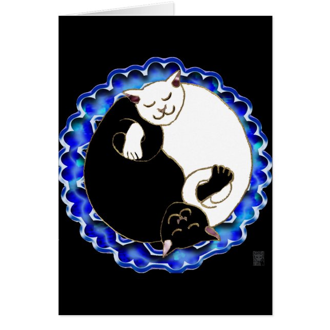 yin yang kittens (Front)