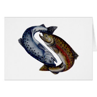 Yin Yang Salmon Fish