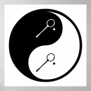 Yin Yang Squash Poster