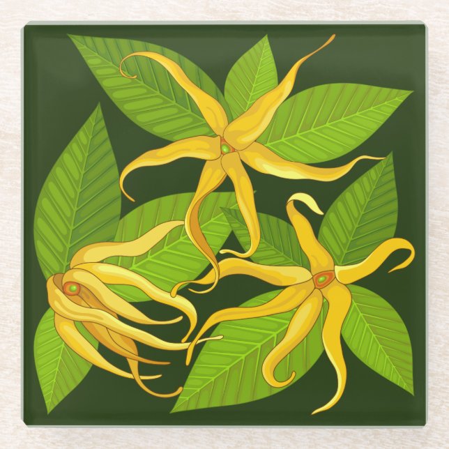 Ylang Ylang Exotic Scented Flowers Glass Coaster (Front)