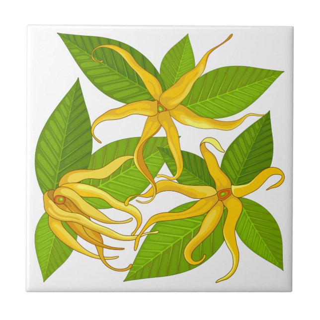 Ylang Ylang Exotic Scented Flowers Tile (Front)