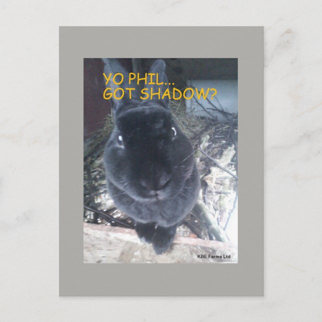 Yo Phil, Got Shadow - Postcard (Front)