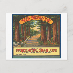 YO-SEMI-TE Vintage Fruit Crate Label Postcard