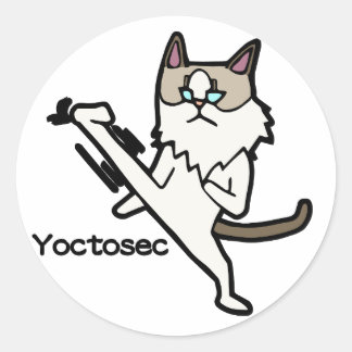 Yoctosec Enlightenment Cat Classic Round Sticker