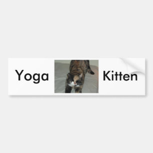 Yoga Calico Cat Bumper Sticker