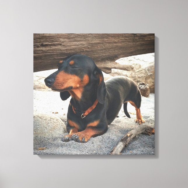 Yoga dog canvas print (Front)