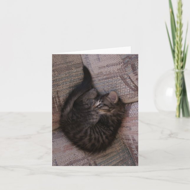 Yoga Kitten Greeting Card (Front)