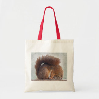 Yoga Squirrel Bag