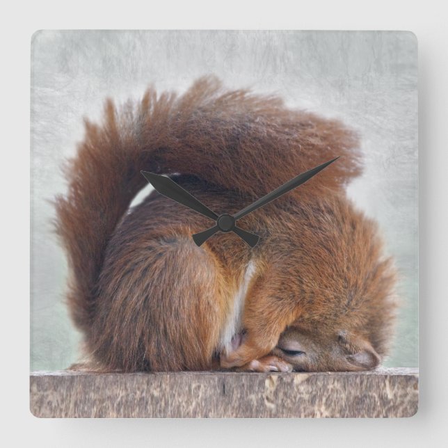 Yoga Squirrel Clock (Front)