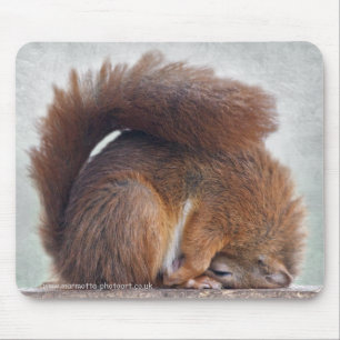 Yoga Squirrel Mousemat