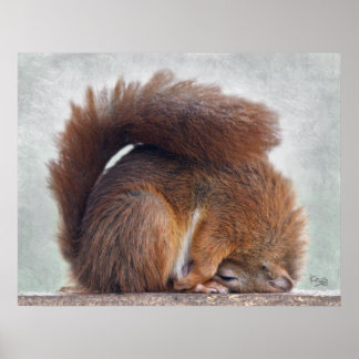 Yoga Squirrel Print