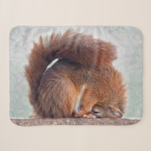 Yoga Squirrel Sherpa Blanket