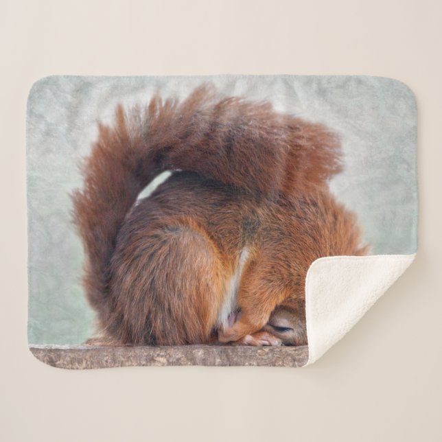 Yoga Squirrel Sherpa Blanket (Front (Horizontal))