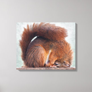 Yoga Squirrel Wrapped Canvas Print