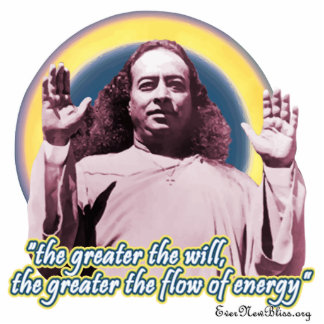 Yogananda Photo Sculpture PY02
