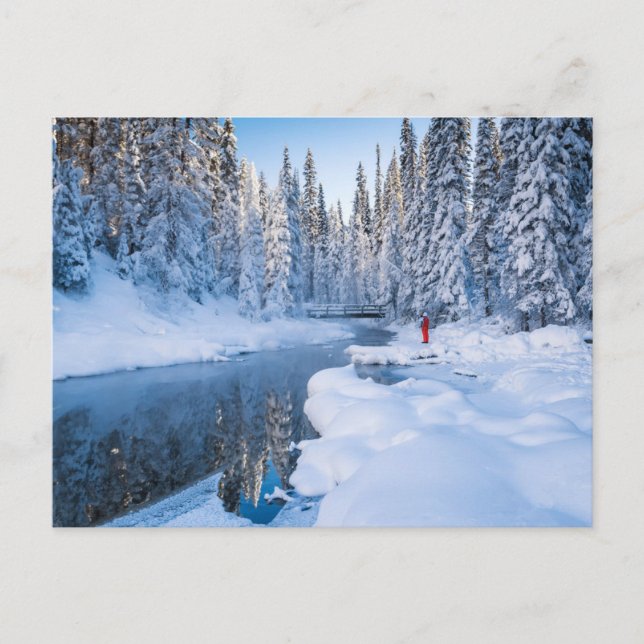 Yoho National Park, British Columbia, Canada Postcard (Front)