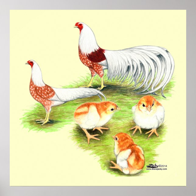 Yokohama Red Shoulder Family Poster (Front)