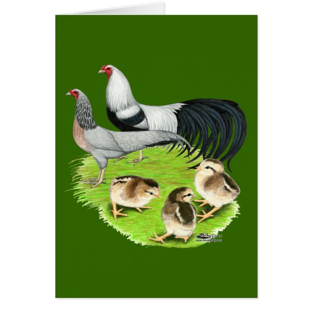 Yokohama Silver Family (Front)