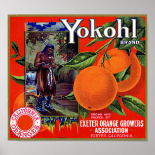 Yokohl Brand Orange Crate Label Schmidt Litho Co Poster