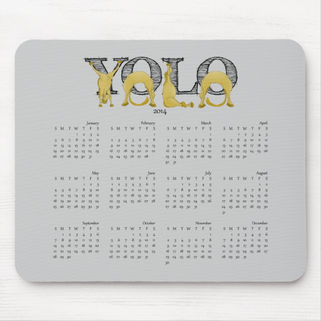 YOLO flexible pony calendar 2014 Mouse Mat (Front)