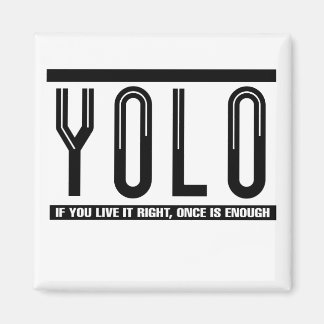 YOLO MAGNET