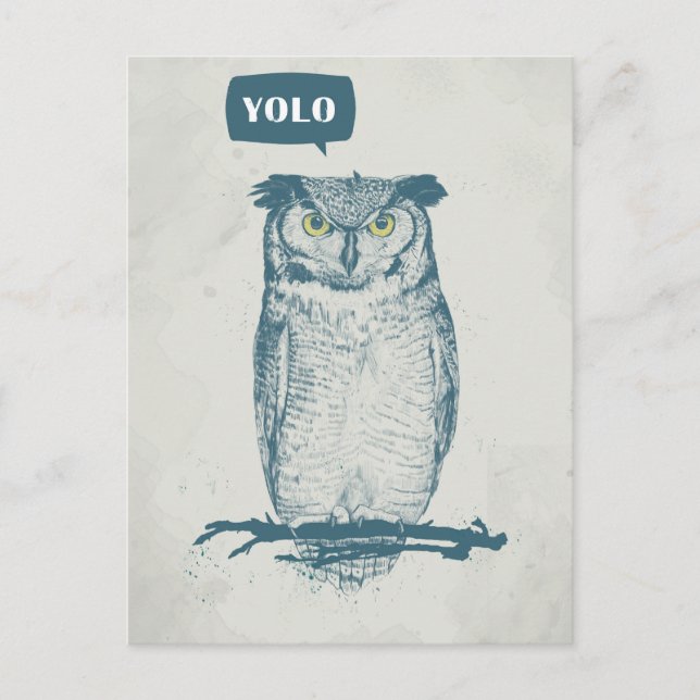 YOLO POSTCARD (Front)