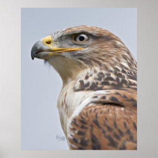 Yooneek Print
