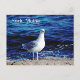 York, Maine Postcard