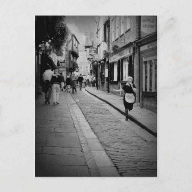 York Shambles Street Postcard (Front)