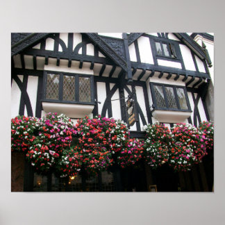 York Window Boxes Poster