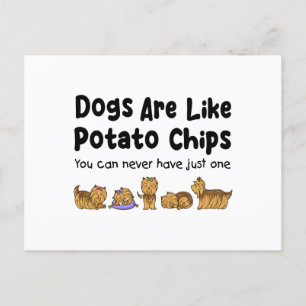 Yorki Dogs Are Like Potato Chips You Can Never Postcard