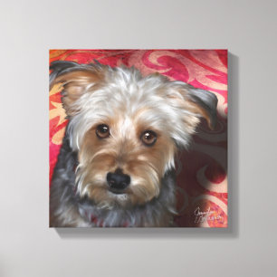Yorkie 12x12 Stretched Canvas