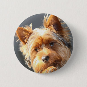 yorkie 6 cm round badge