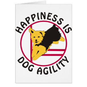 Yorkie Agility Happiness