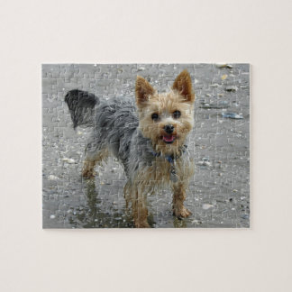 Yorkie at the beach jigsaw puzzle