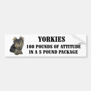 Yorkie Attitude Bumper Sticker