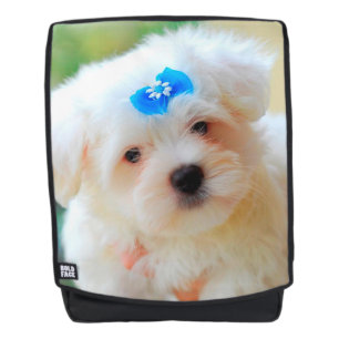 Yorkie Backpack