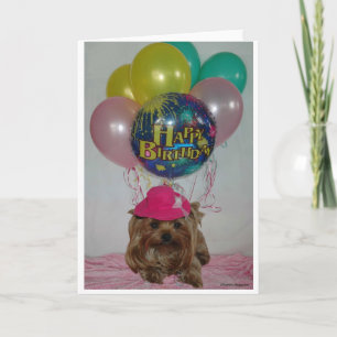 Yorkie Balloon Happy B-Day Card