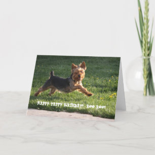 YORKIE BIRTHDAY CARD