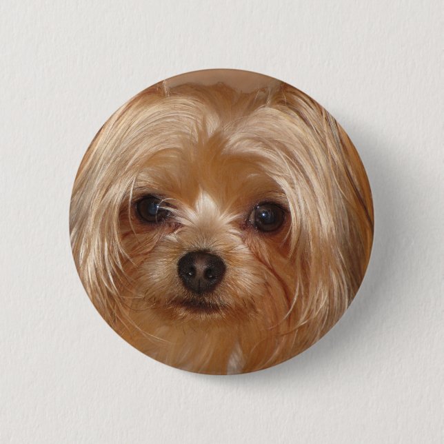 Yorkie Botton 6 Cm Round Badge (Front)