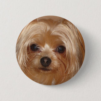 Yorkie Botton 6 Cm Round Badge