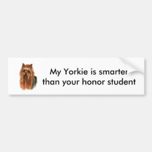 Yorkie bumper sticker
