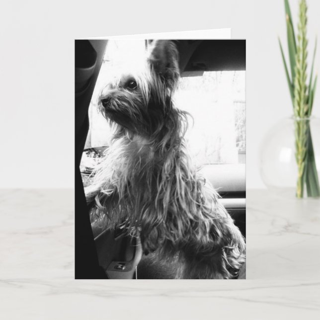 Yorkie Card (Front)