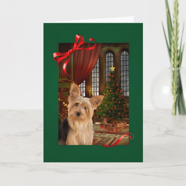 Yorkie Christmas Card (Front)