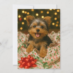 Yorkie Christmas Card