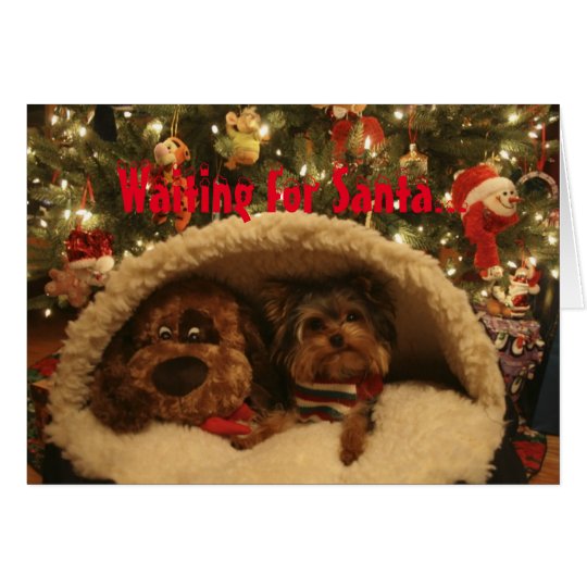 Yorkie Christmas Card
