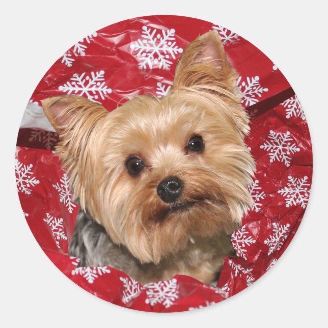 Yorkie Christmas Classic Round Sticker (Front)