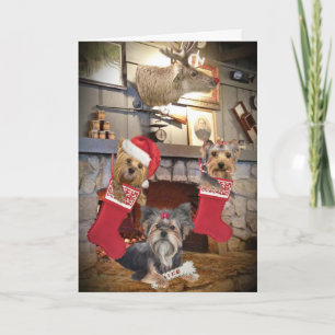 Yorkie Christmas Fireplace Cards